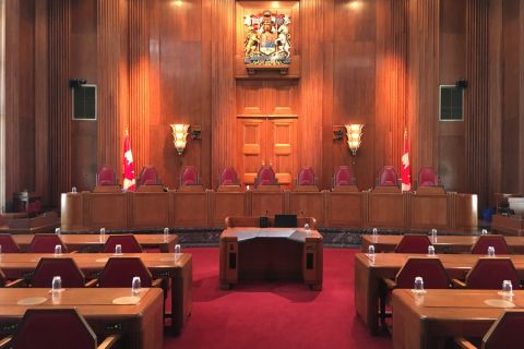 Court Case Assistance